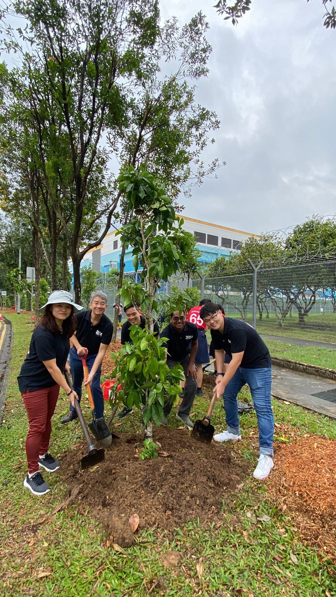 Five people in black shirts use shovels to plant a young tree outdoors near a fence and building.